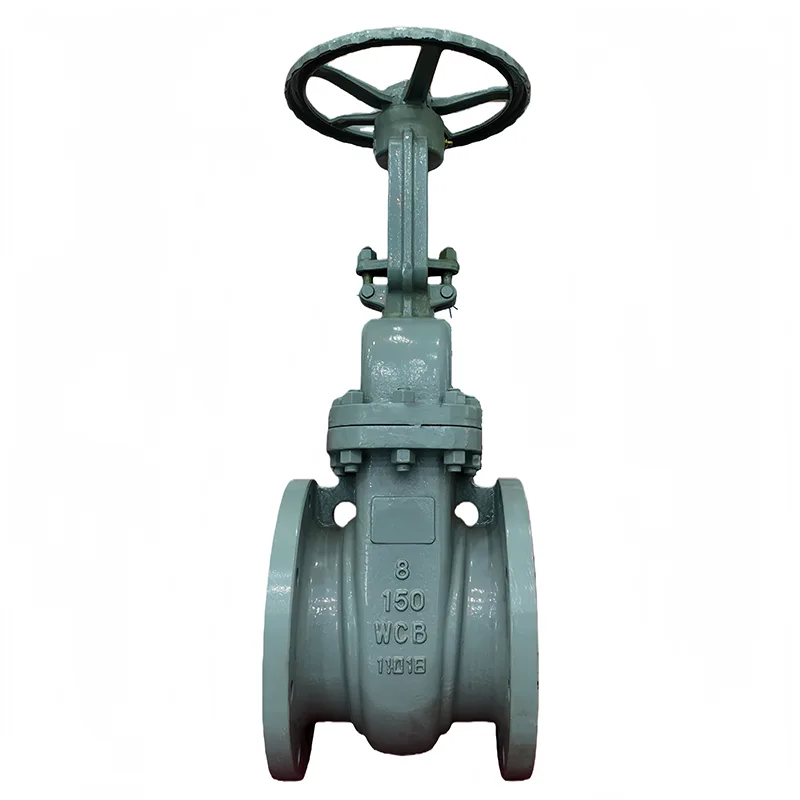 ʻO ka pāpaʻi kalapona ANSI Flange Gate Valve