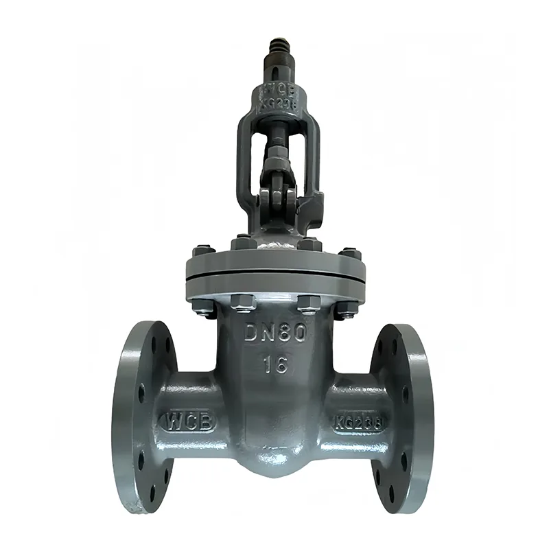 Puka Puka Puka Flange Steel Carbon