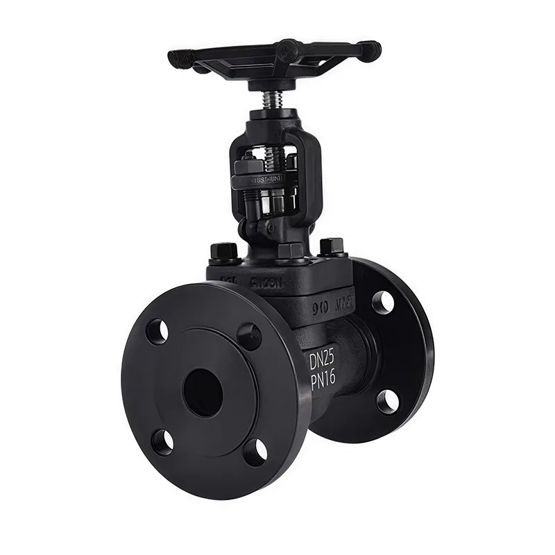 Hoʻopaʻa ʻia ʻo National Standard Globe Valve